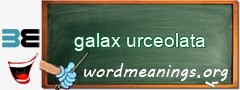 WordMeaning blackboard for galax urceolata